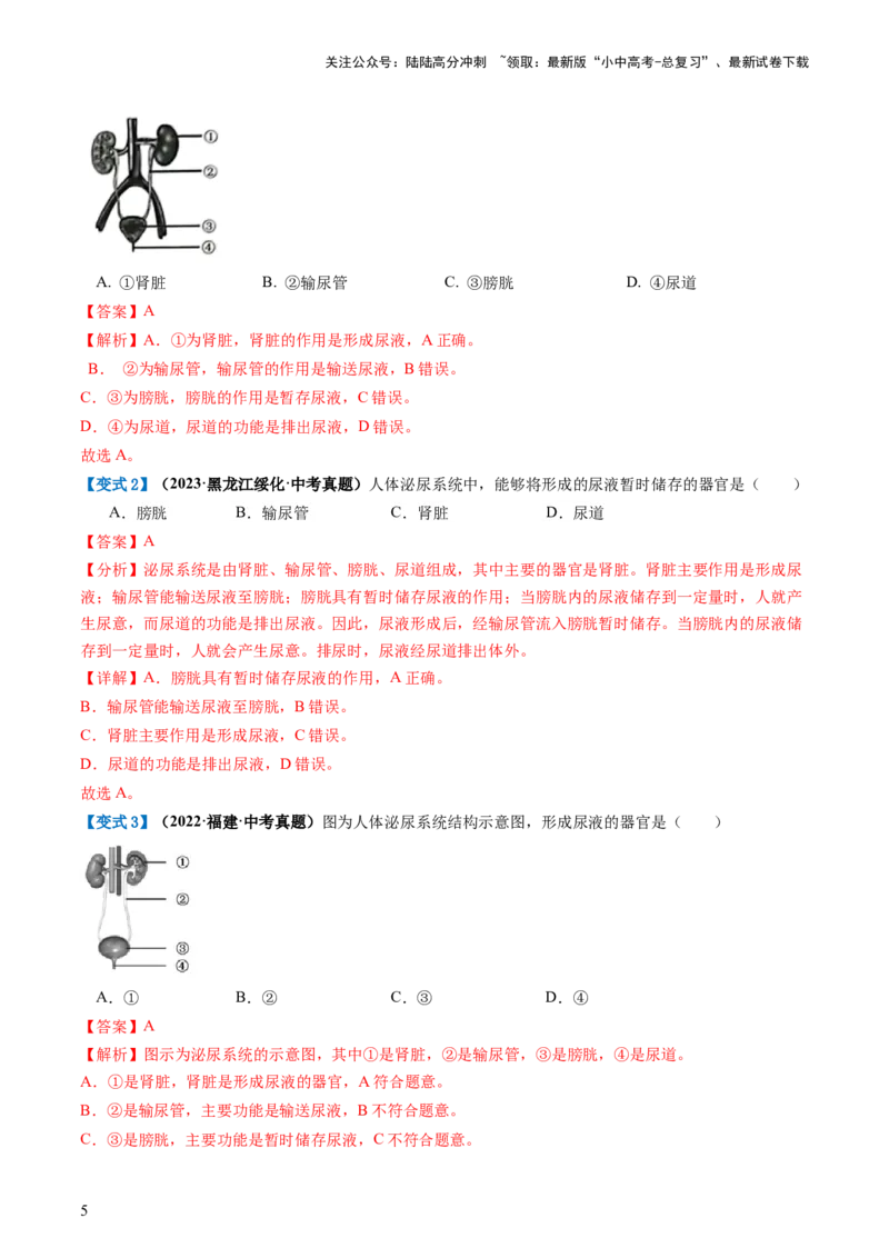 《专题13人体内废物的排出（讲义）（解析版）(1)_中考-总复习（2026版）_08-生物-中考总复习_2024年中考复习资料_一轮复习_❤2024年中考生物一轮复习讲练测（全国通用）_讲义》第5页预览