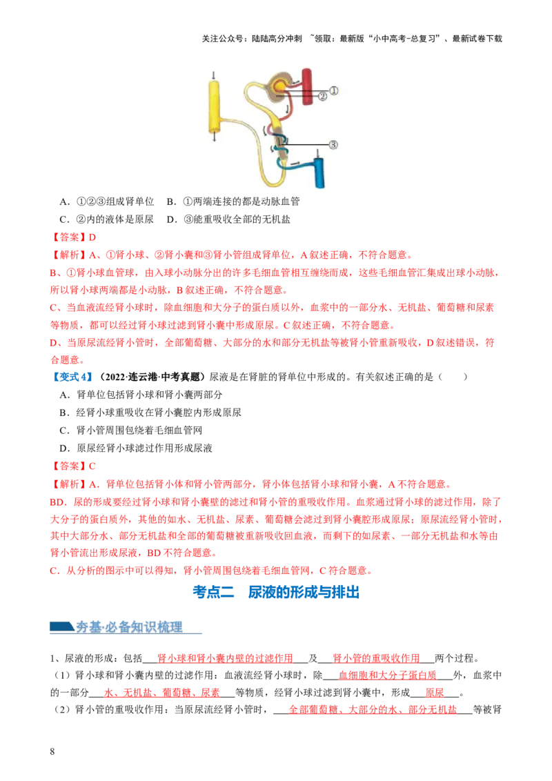 《专题13人体内废物的排出（讲义）（解析版）(1)_中考-总复习（2026版）_08-生物-中考总复习_2024年中考复习资料_一轮复习_❤2024年中考生物一轮复习讲练测（全国通用）_讲义》第8页预览