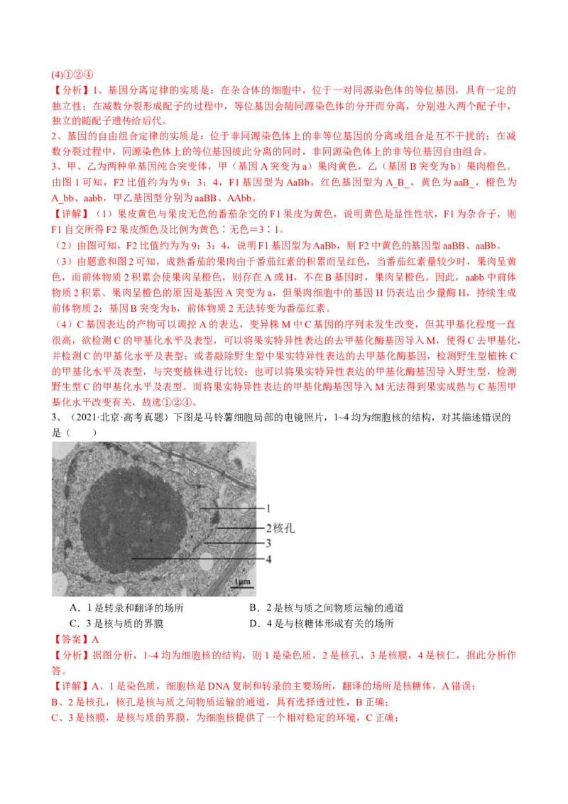 《专题06遗传的分子基础（教师版）_北京高考全科_生物_五年（2020-2024）高考生物真题分类汇编（北京专用）》第4页预览