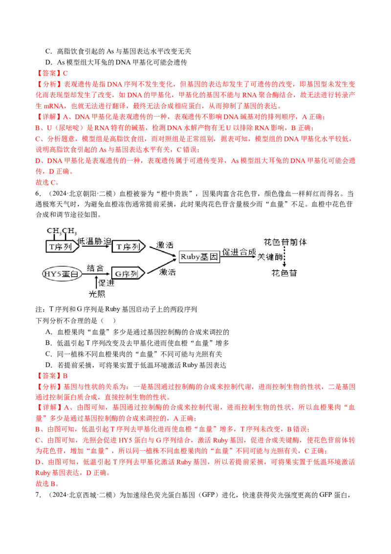 《专题06遗传的分子基础（教师版）_北京高考全科_生物_五年（2020-2024）高考生物真题分类汇编（北京专用）》第9页预览