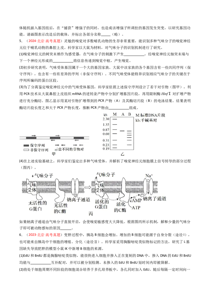《专题17基因工程（北京专用）（学生版）_北京高考全科_生物_5年（2021-2025）高考生物真题分类汇编（北京专用）》第4页预览