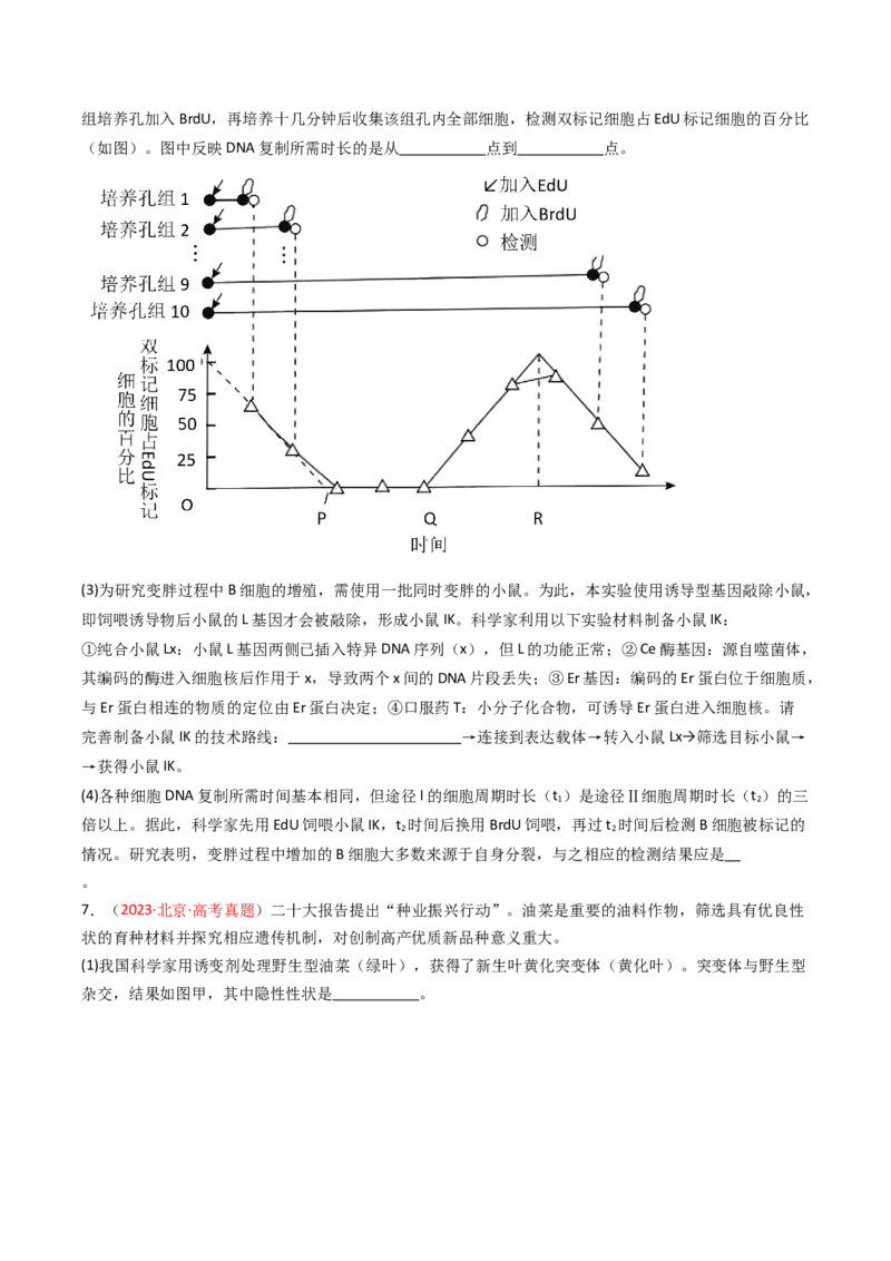 《专题17基因工程（北京专用）（学生版）_北京高考全科_生物_5年（2021-2025）高考生物真题分类汇编（北京专用）》第5页预览