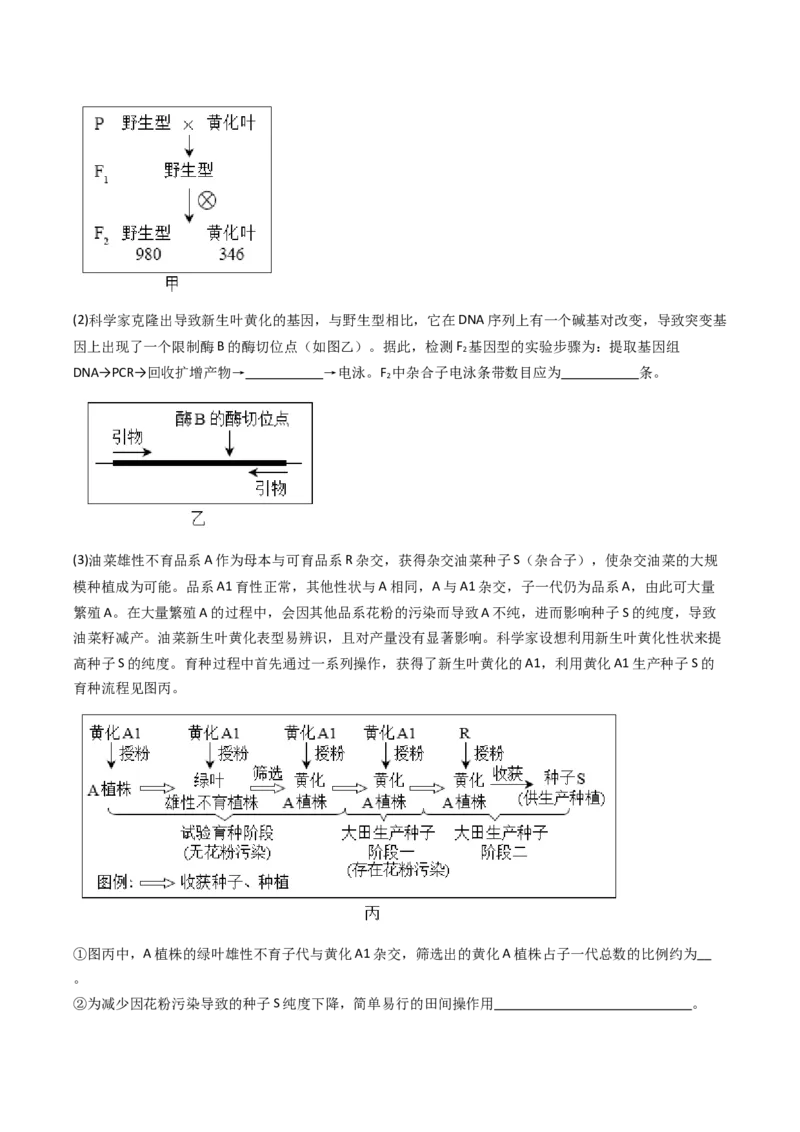 《专题17基因工程（北京专用）（学生版）_北京高考全科_生物_5年（2021-2025）高考生物真题分类汇编（北京专用）》第6页预览