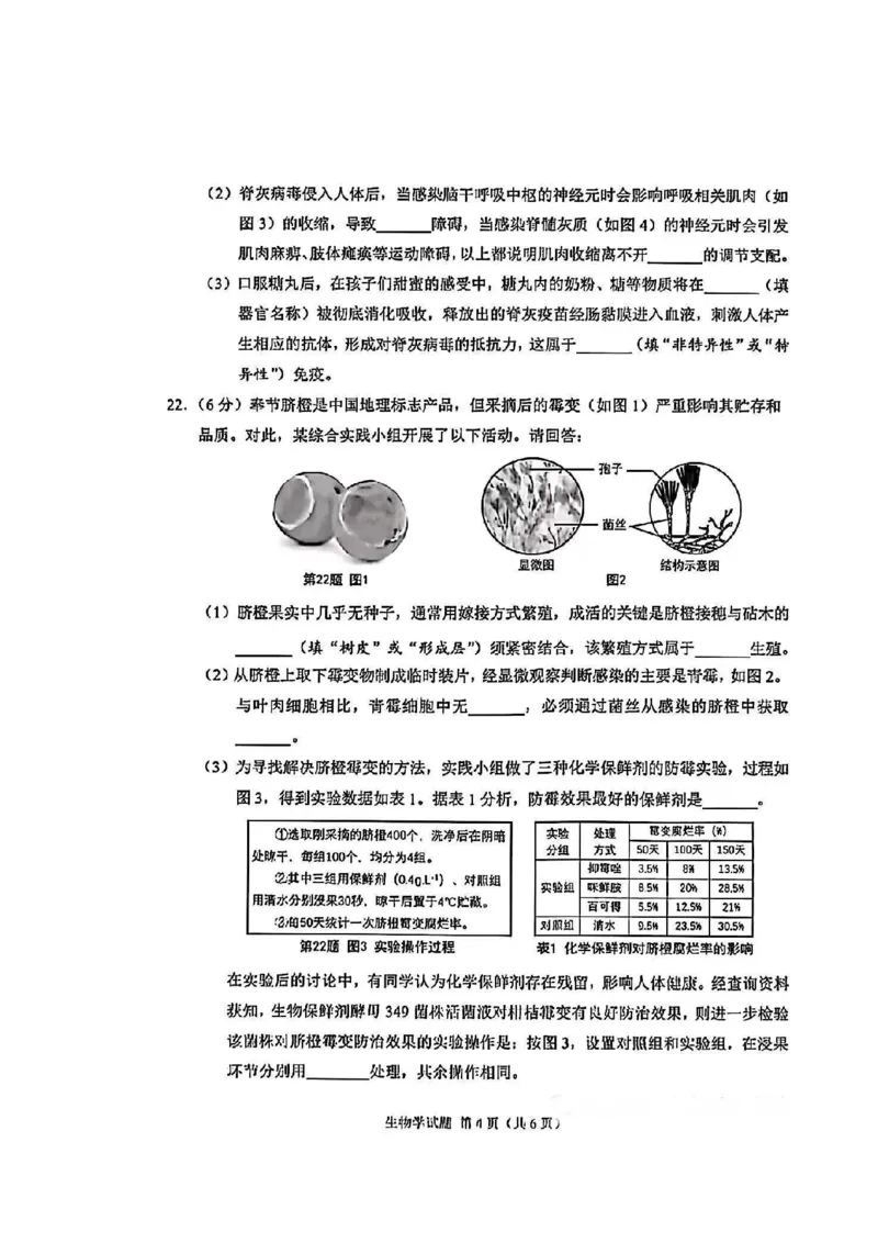 《2026年重庆市中考生物真题（解析卷）_重庆历年中考真题2008-2026_8.重庆中考生物2021-2026》第4页预览