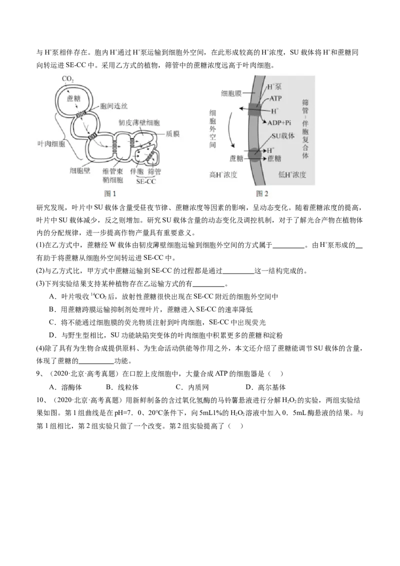 《专题02物质运输、酶和ATP（学生版）_北京高考全科_生物_五年（2020-2024）高考生物真题分类汇编（北京专用）》第5页预览