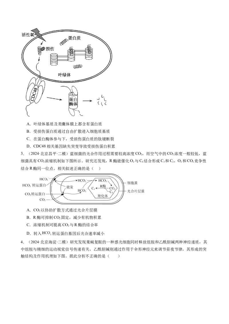 《专题02物质运输、酶和ATP（学生版）_北京高考全科_生物_五年（2020-2024）高考生物真题分类汇编（北京专用）》第7页预览