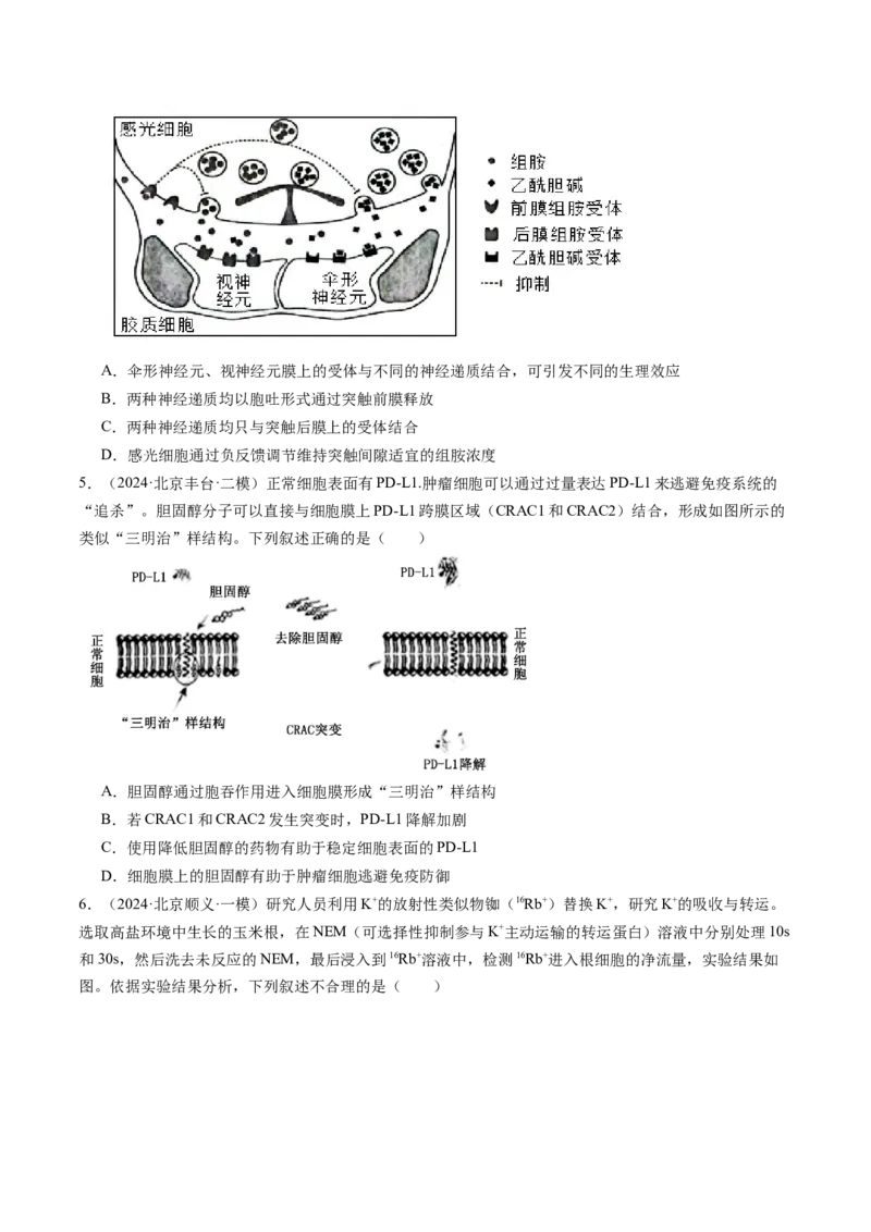 《专题02物质运输、酶和ATP（学生版）_北京高考全科_生物_五年（2020-2024）高考生物真题分类汇编（北京专用）》第8页预览