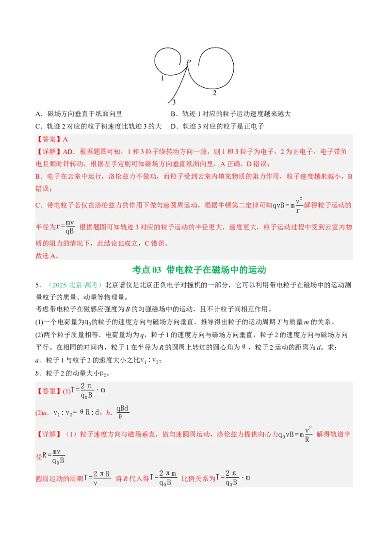 《专题09磁场（北京专用）（教师版）_北京高考全科_物理_5年（2021-2025）高考物理真题分类汇编（北京专用）》第5页预览