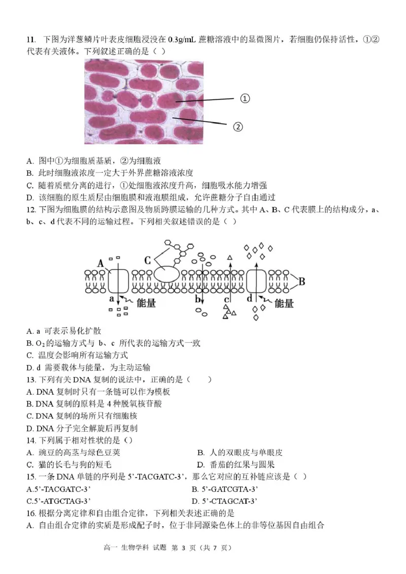 《高一生物试题_2024-2027高一（7-7月题库）(1)_2026年05月高一试卷_260522浙江省杭州市S9联盟2025-2026学年高一下学期期中联考（全）》第3页预览