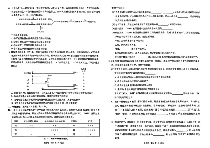 《2026届高三5月复习诊断生物+答案_2024-2027高三（6-6月题库）_2026年05月高三试卷_260528云南省昆明市第一中学2026届高三5月复习诊断（全科）》第3页预览