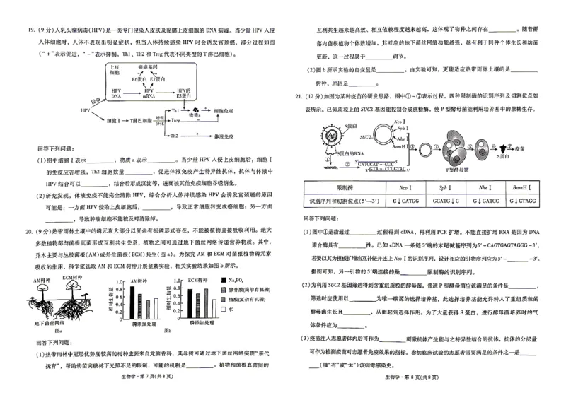 《2026届高三5月复习诊断生物+答案_2024-2027高三（6-6月题库）_2026年05月高三试卷_260528云南省昆明市第一中学2026届高三5月复习诊断（全科）》第4页预览