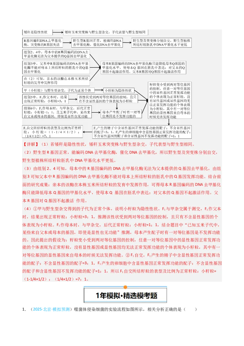 《专题05遗传的分子基础（北京专用）（教师版）_北京高考全科_生物_5年（2021-2025）高考生物真题分类汇编（北京专用）》第10页预览