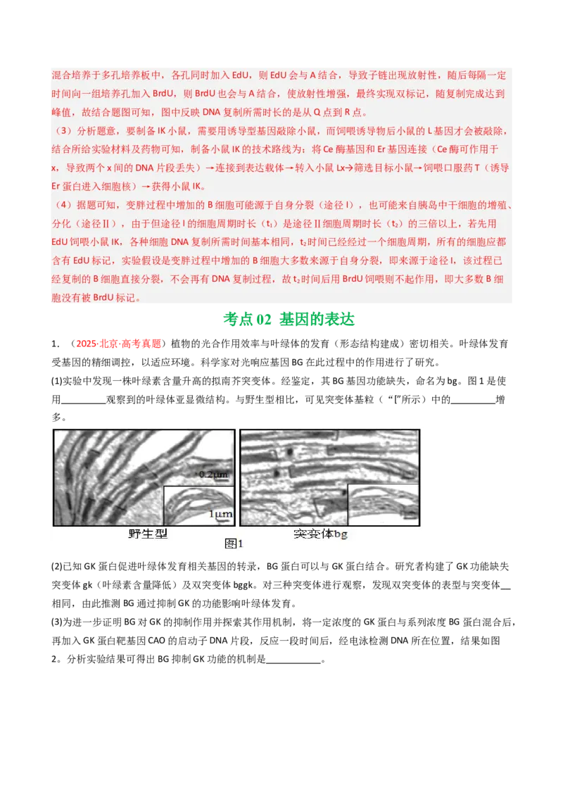 《专题05遗传的分子基础（北京专用）（教师版）_北京高考全科_生物_5年（2021-2025）高考生物真题分类汇编（北京专用）》第5页预览