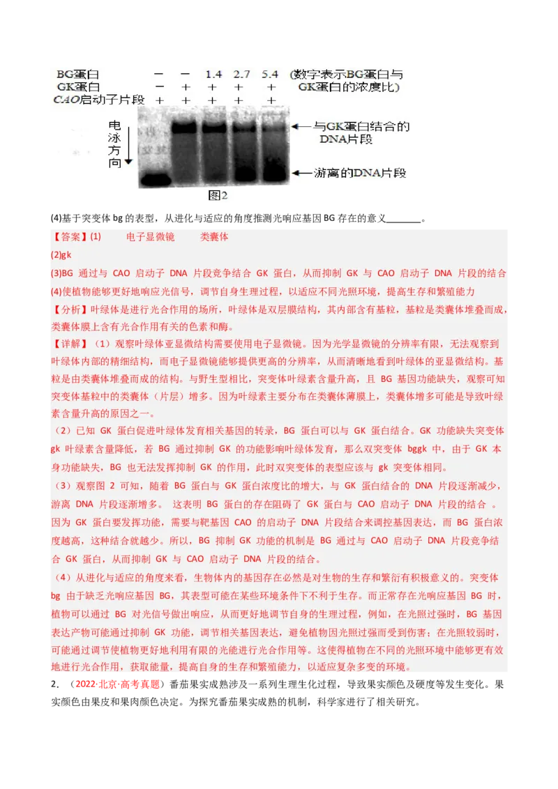 《专题05遗传的分子基础（北京专用）（教师版）_北京高考全科_生物_5年（2021-2025）高考生物真题分类汇编（北京专用）》第6页预览