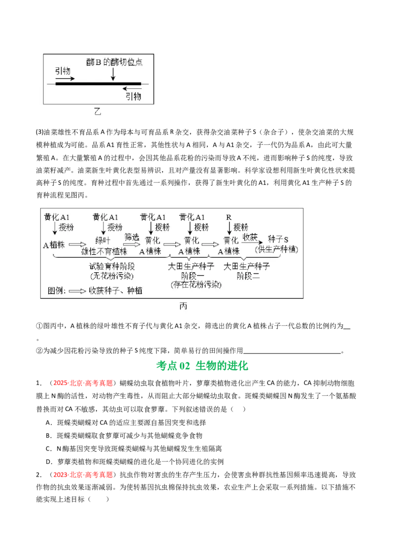 《专题08变异、育种与进化（北京专用）（学生版）_北京高考全科_生物_5年（2021-2025）高考生物真题分类汇编（北京专用）》第5页预览