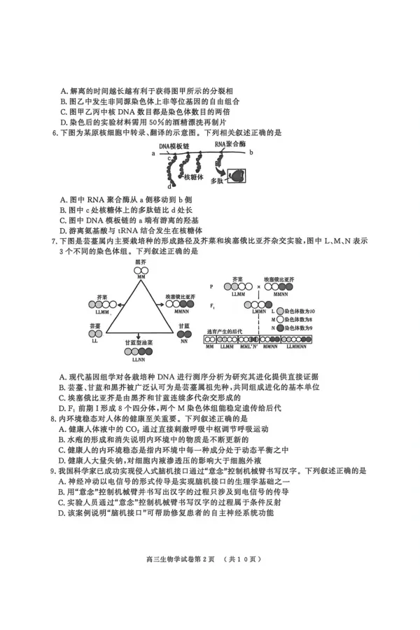 《南京市2026届高三年级第二次模拟考试生物_2024-2027高三（6-6月题库）_2026年05月高三试卷_260509江苏省南京市2026届高三年级第二次模拟考试（南京二模）（全科）》第2页预览
