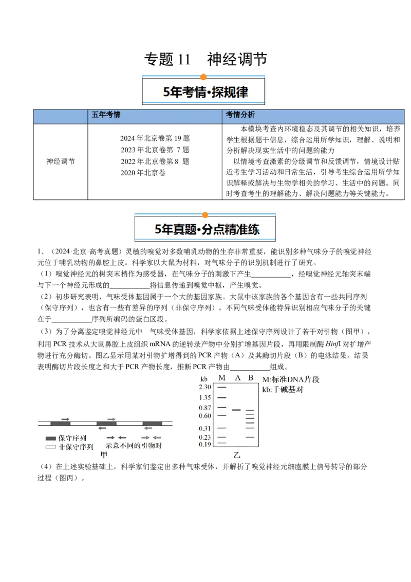 《专题11神经调节（教师版）_北京高考全科_生物_五年（2020-2024）高考生物真题分类汇编（北京专用）》第1页预览