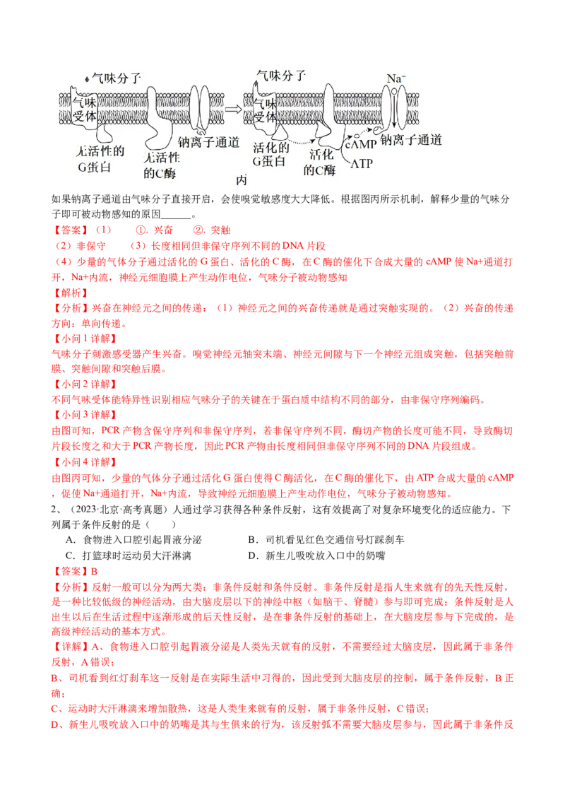 《专题11神经调节（教师版）_北京高考全科_生物_五年（2020-2024）高考生物真题分类汇编（北京专用）》第2页预览