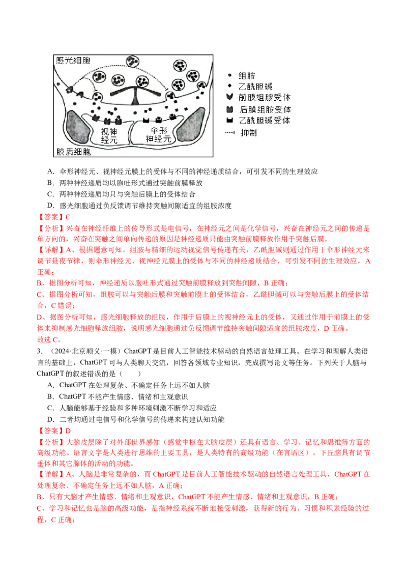 《专题11神经调节（教师版）_北京高考全科_生物_五年（2020-2024）高考生物真题分类汇编（北京专用）》第5页预览