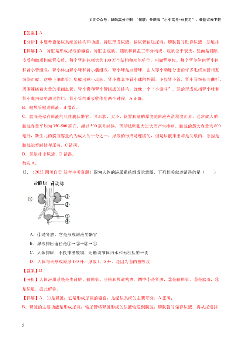《专题13人体内废物的排出（解析版）(1)_中考-总复习（2026版）_08-生物-中考总复习_2024年中考复习资料_一轮复习_❤备战2024年中考生物一轮复习考点帮（全国通用）_练习》第5页预览