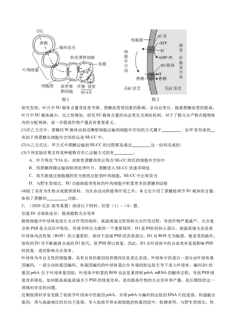《专题20科技文阅读（学生版）_北京高考全科_生物_五年（2020-2024）高考生物真题分类汇编（北京专用）》第5页预览