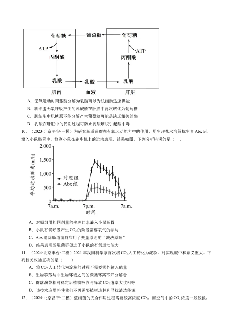 《专题03细胞呼吸和光合作用（学生版）_北京高考全科_生物_五年（2020-2024）高考生物真题分类汇编（北京专用）》第10页预览