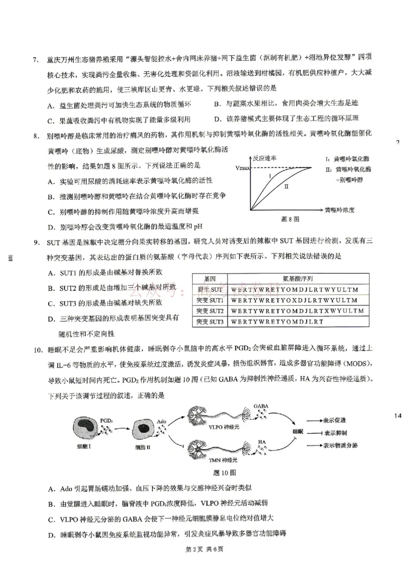 《2026年重庆市高三第二次联合诊断考试生物试题卷_副本_12.2026年4月全国各地高考模拟卷_2026年4月_2026届重庆市高三第二次联合诊断考试全科_06生物_重庆市高三第二次联合诊断考试》第2页预览
