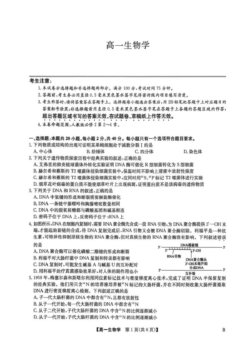 《高一期中生物_2024-2027高一（7-7月题库）(1)_2026年06月高一试卷_260605河南省九师联盟2025-2026学年高一下学期6月期中考试（全）》第1页预览