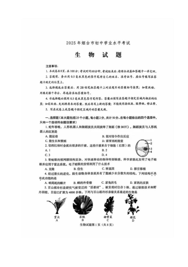 《25年烟台中考生物试卷_12.2026年4月全国各地高考模拟卷_2026版初中金考卷•45套中考试卷汇编系列合集_全国版中考真题_2025年全国中考真题答案（按省市分类）(10)_山东省_烟台（9科全）》第1页预览