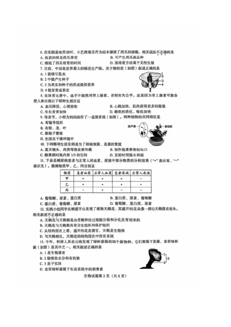 《25年烟台中考生物试卷_12.2026年4月全国各地高考模拟卷_2026版初中金考卷•45套中考试卷汇编系列合集_全国版中考真题_2025年全国中考真题答案（按省市分类）(10)_山东省_烟台（9科全）》第2页预览
