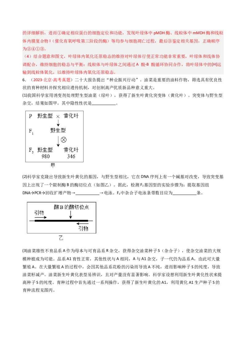 《专题08变异、育种与进化（北京专用）（教师版）_北京高考全科_生物_5年（2021-2025）高考生物真题分类汇编（北京专用）》第7页预览