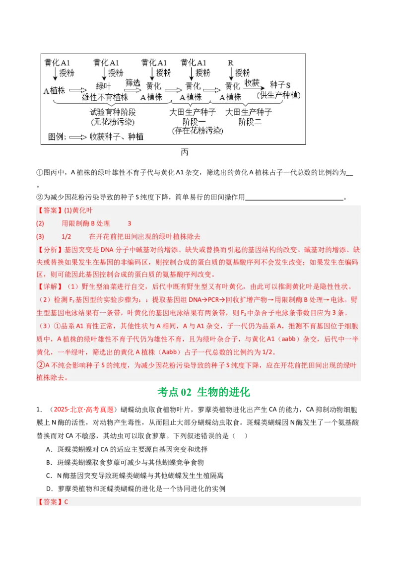 《专题08变异、育种与进化（北京专用）（教师版）_北京高考全科_生物_5年（2021-2025）高考生物真题分类汇编（北京专用）》第8页预览