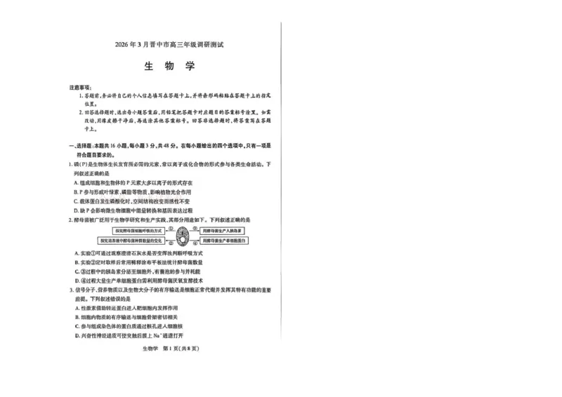 《山西省晋中市2026年3月高三年级调研测试生物_12.2026年4月全国各地高考模拟卷_2026届山西省晋中市高三3月调研测试（晋中二模）_生物·2026届山西省晋中市高三3月调研测试（晋中二模）》第1页预览