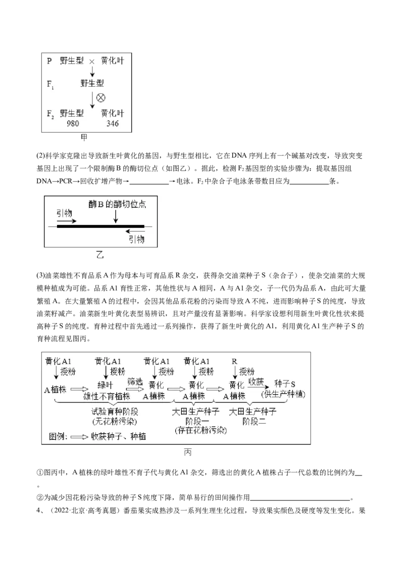 《专题07基因分离定律和自由组合定律（学生版）_北京高考全科_生物_五年（2020-2024）高考生物真题分类汇编（北京专用）》第3页预览