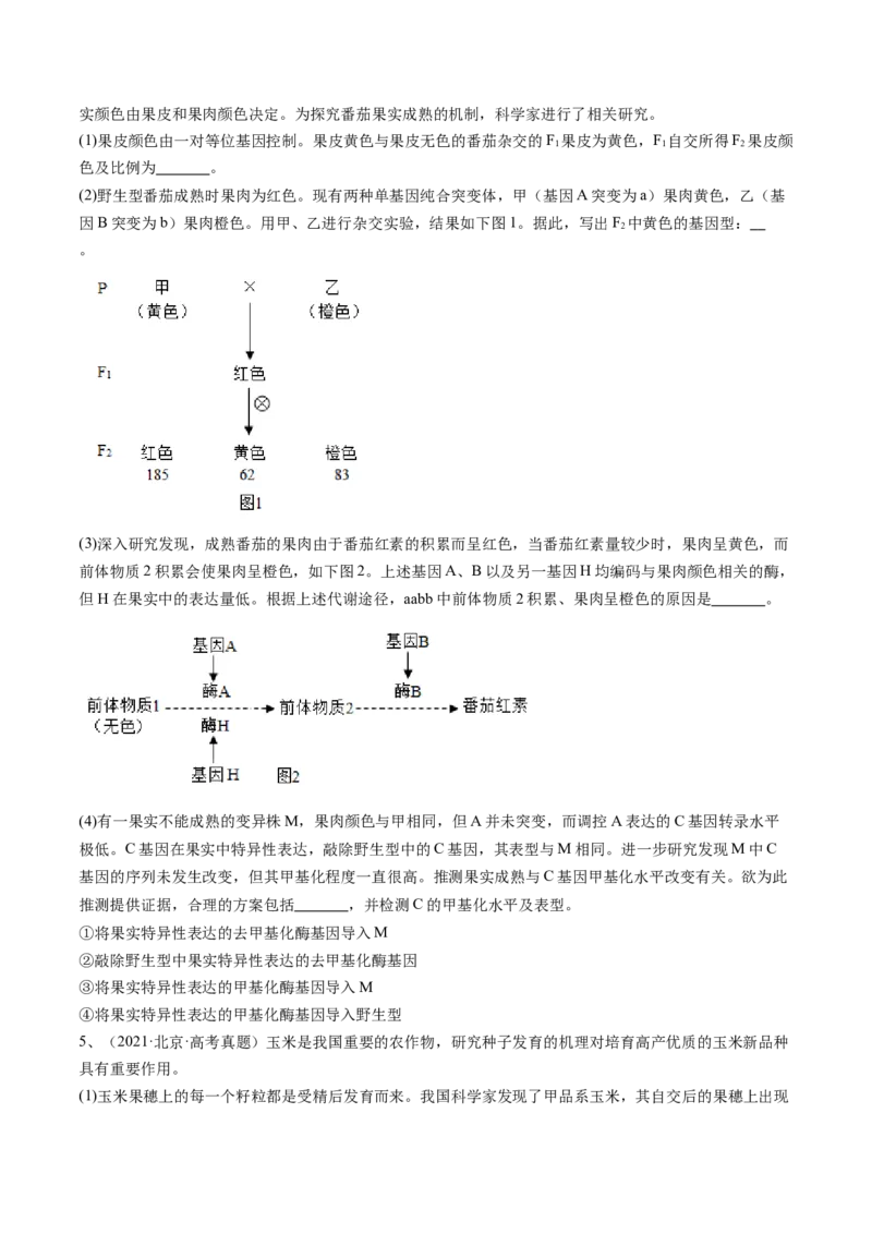 《专题07基因分离定律和自由组合定律（学生版）_北京高考全科_生物_五年（2020-2024）高考生物真题分类汇编（北京专用）》第4页预览