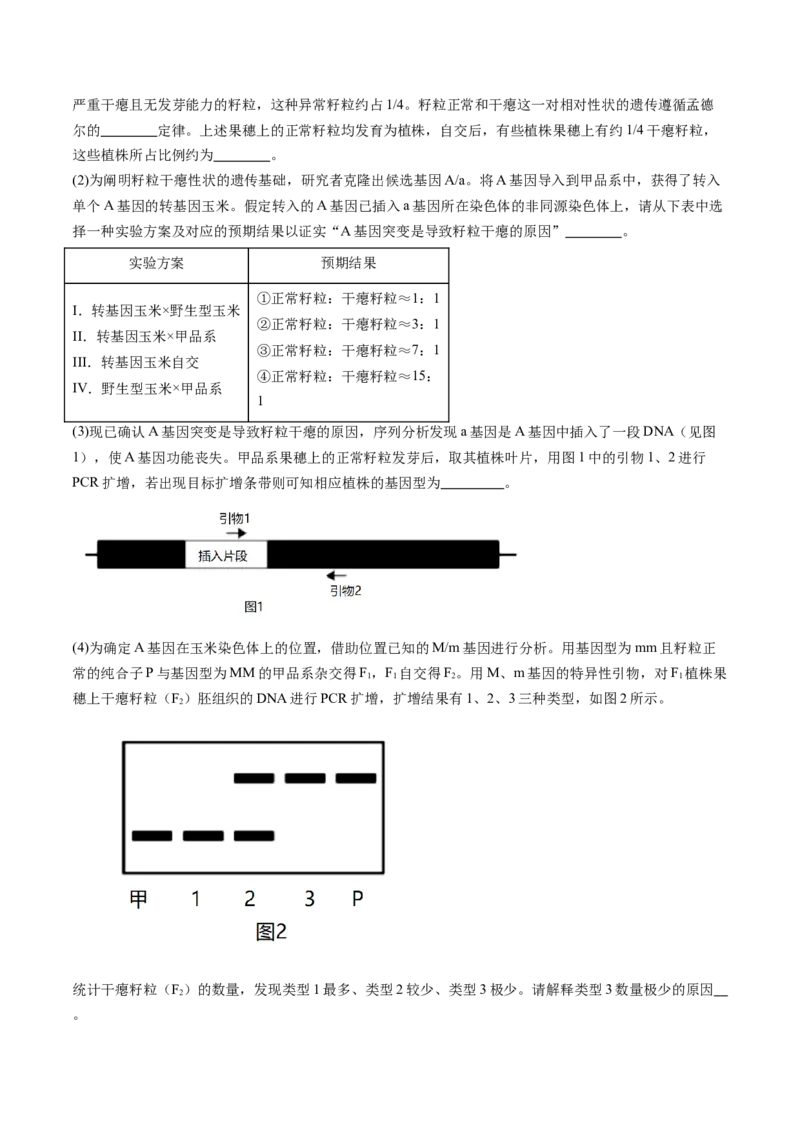 《专题07基因分离定律和自由组合定律（学生版）_北京高考全科_生物_五年（2020-2024）高考生物真题分类汇编（北京专用）》第5页预览