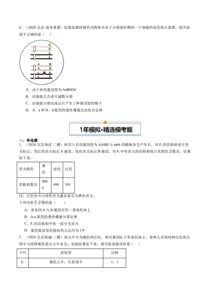《专题07基因分离定律和自由组合定律（学生版）_北京高考全科_生物_五年（2020-2024）高考生物真题分类汇编（北京专用）》第6页预览