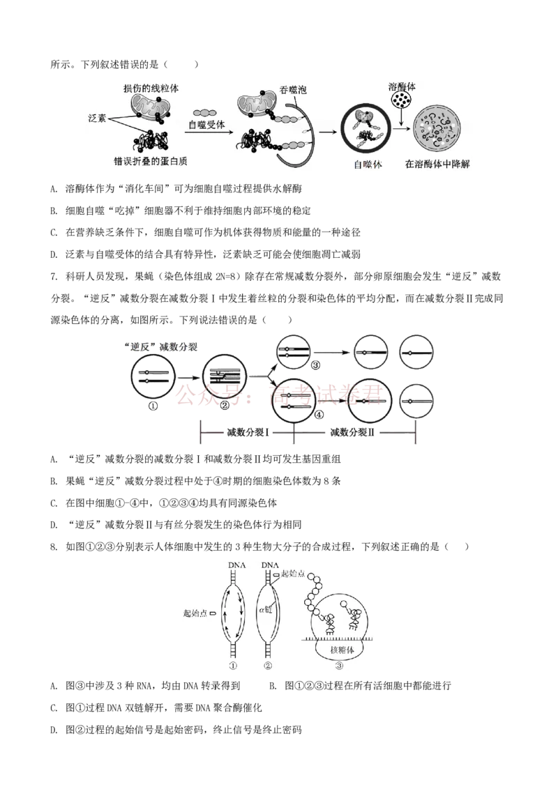 《安徽省铜陵市2026届高三下学期第一次质检生物试卷_12.2026年4月全国各地高考模拟卷_2026届安徽省铜陵市高三下学期第一次质检_05生物_安徽省铜陵市高三下学期第一次质检》第3页预览