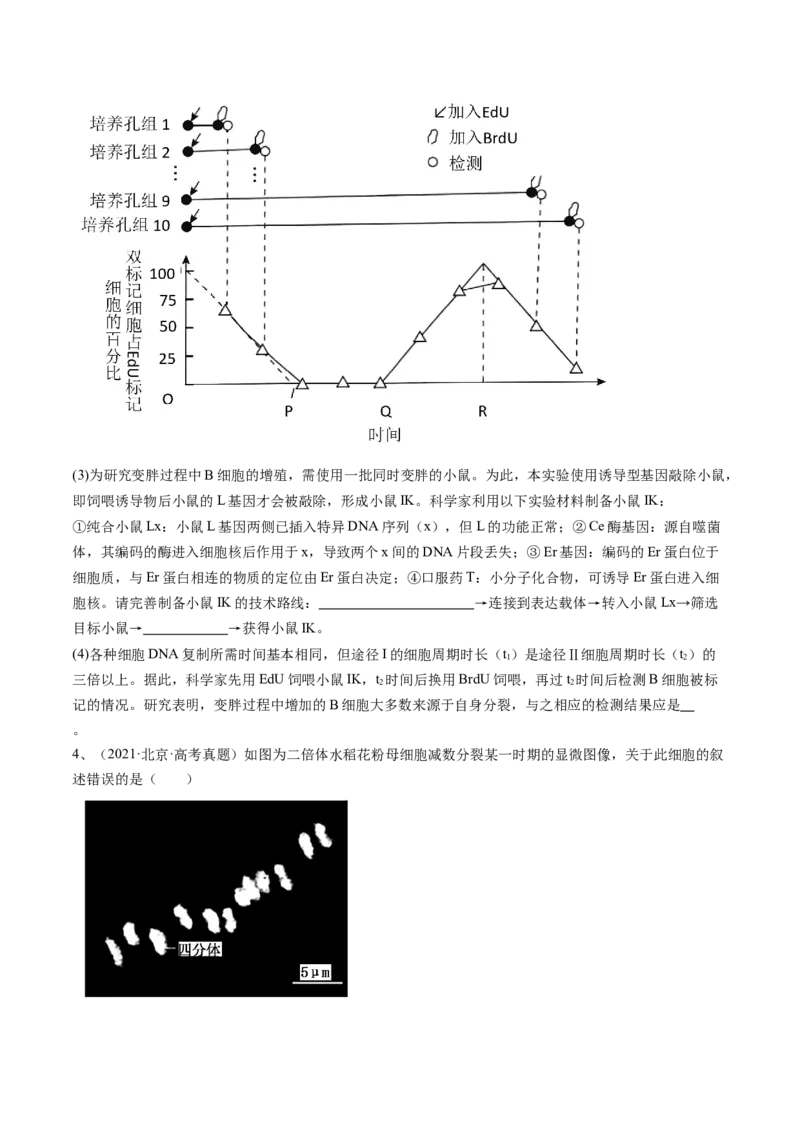 《专题04有丝分裂和减数分裂（学生版）_北京高考全科_生物_五年（2020-2024）高考生物真题分类汇编（北京专用）》第2页预览