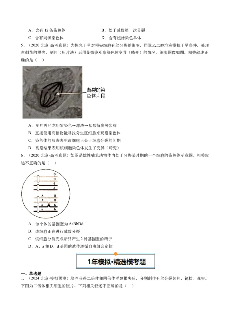 《专题04有丝分裂和减数分裂（学生版）_北京高考全科_生物_五年（2020-2024）高考生物真题分类汇编（北京专用）》第3页预览