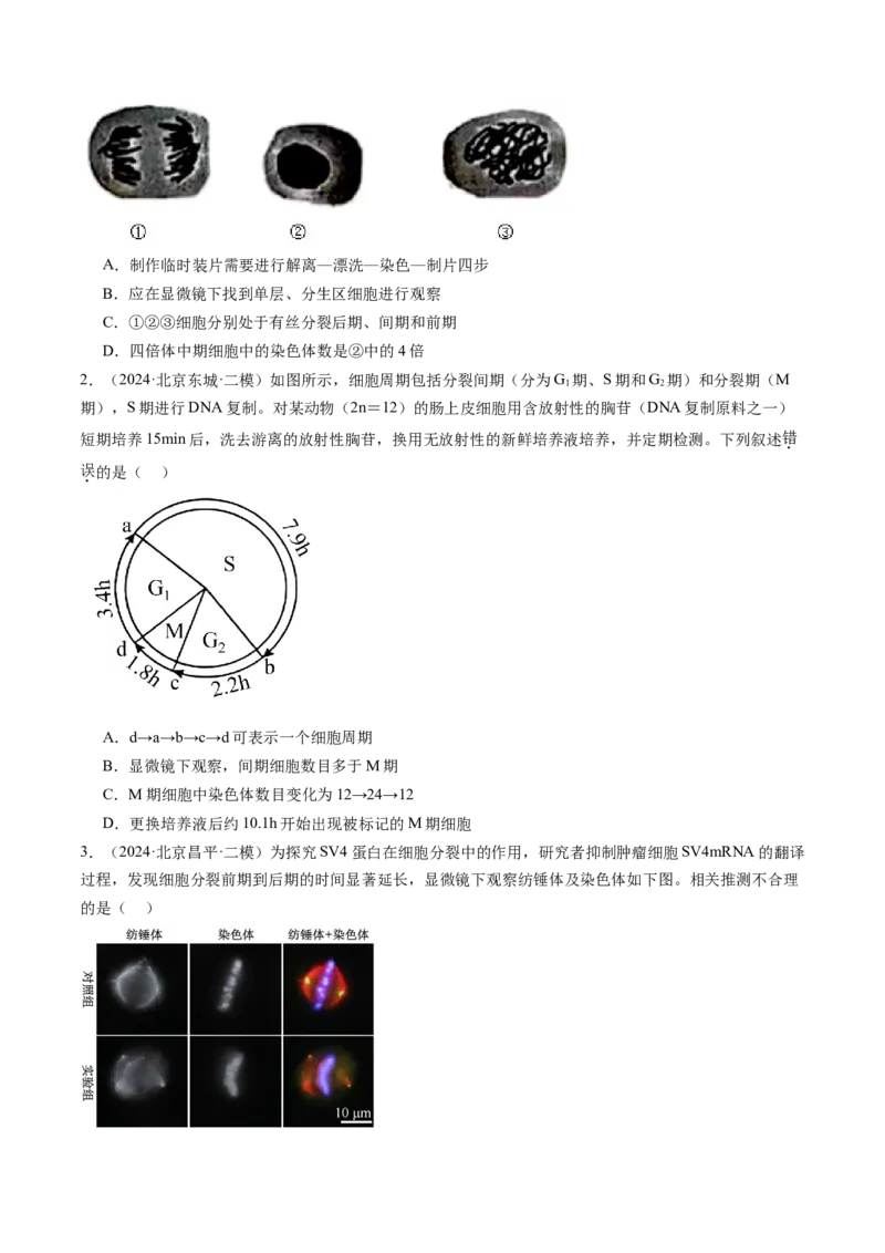 《专题04有丝分裂和减数分裂（学生版）_北京高考全科_生物_五年（2020-2024）高考生物真题分类汇编（北京专用）》第4页预览
