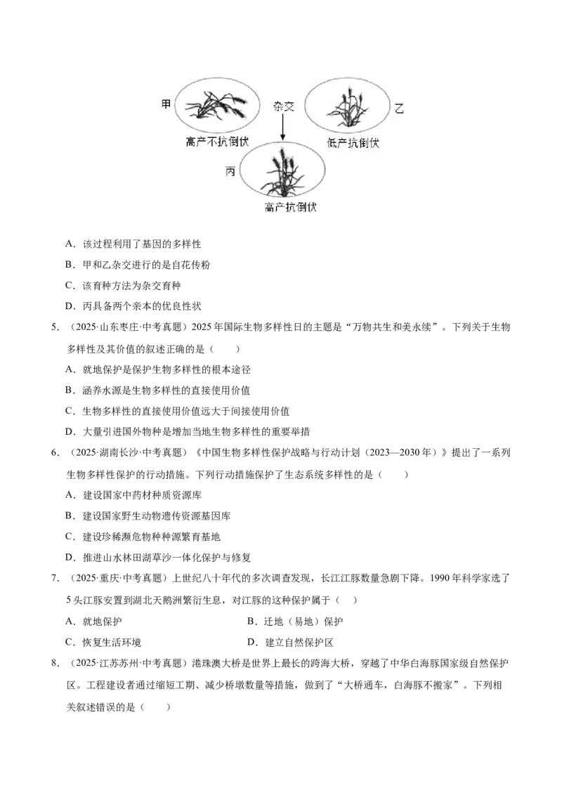 《专题10生物进化与生物多样性的保护（全国通用）（学生版）_2026年中考真题分类汇编9科_三年（2023-2025）中考生物真题分类汇编（全国通用）-C432》第2页预览