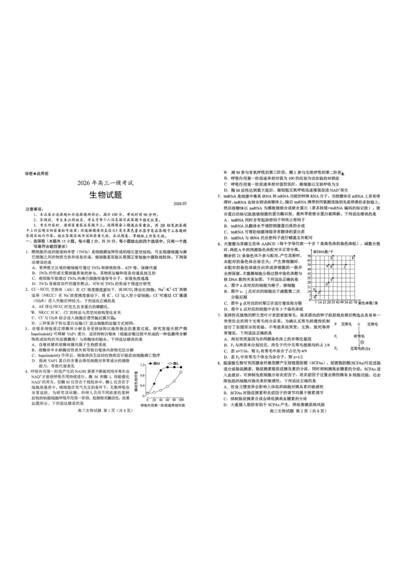 《26菏泽一模-生物试题_12.2026年4月全国各地高考模拟卷_2026届山东省菏泽市高三一模考试》第1页预览
