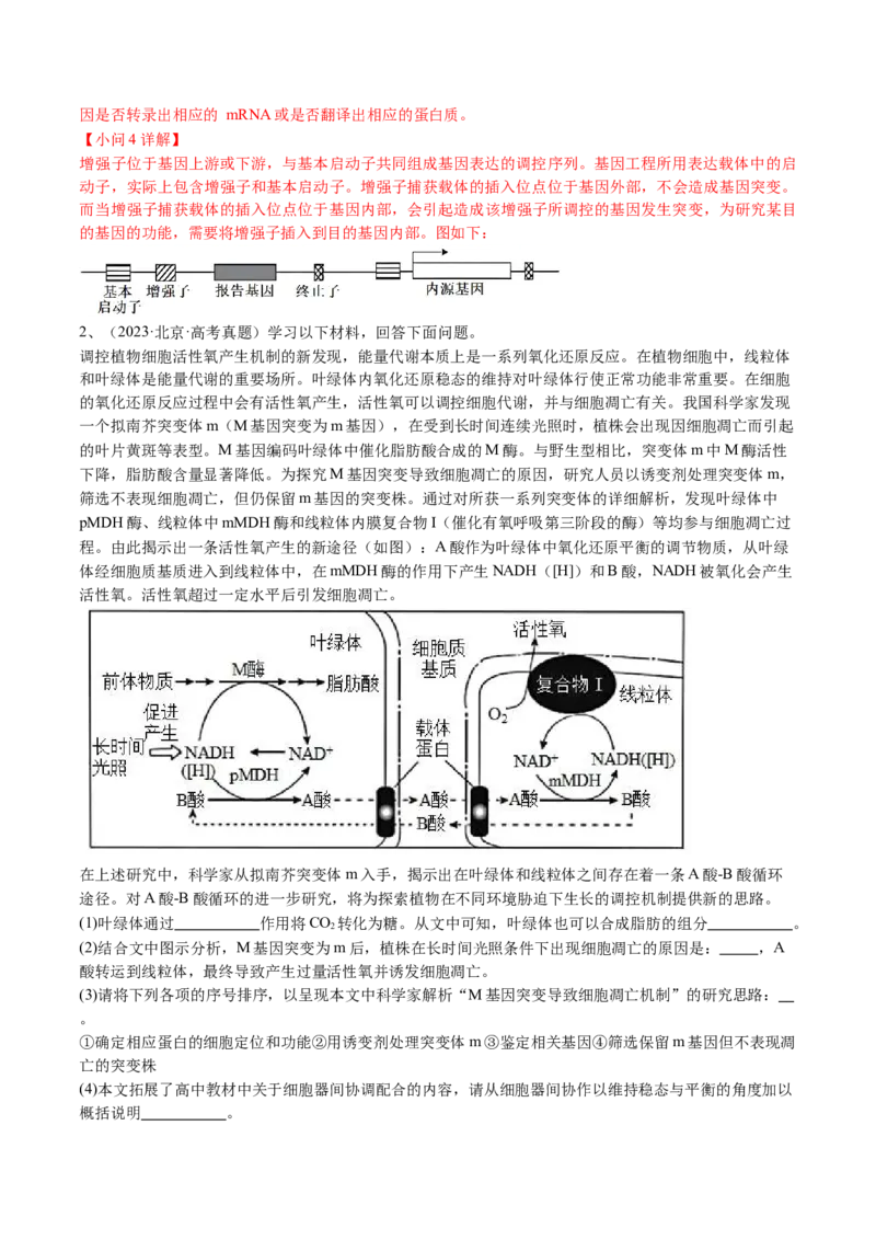 《专题20科技文阅读（教师版）_北京高考全科_生物_五年（2020-2024）高考生物真题分类汇编（北京专用）》第3页预览