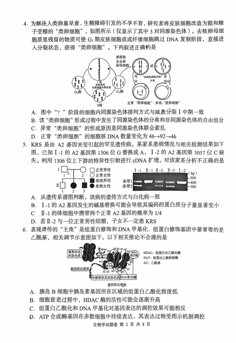 《A佳教育2026年5月高三检测卷生物_2024-2027高三(6-6月题库)_2026年05月高三试卷_260512湖南省A佳教育2026年5月高三检测卷(张家界三模)(全科)》第2页预览