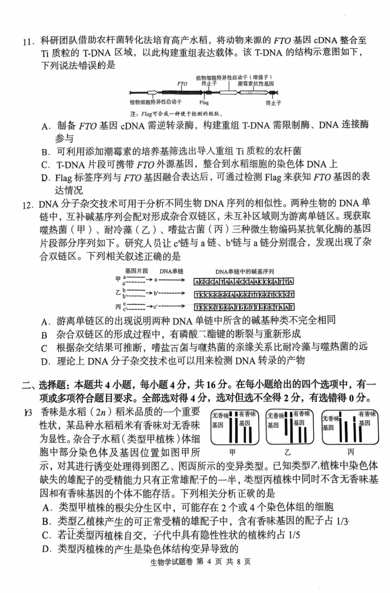 《A佳教育2026年5月高三检测卷生物_2024-2027高三(6-6月题库)_2026年05月高三试卷_260512湖南省A佳教育2026年5月高三检测卷(张家界三模)(全科)》第4页预览