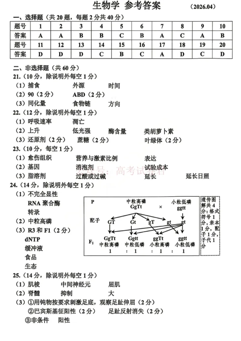 《浙江省嘉兴市2025-2026学年高三下学期二模生物答案_12.2026年4月全国各地高考模拟卷_2026年4月_2026届浙江省嘉兴市高三下学期二模全科_06生物_浙江省嘉兴市高三下学期二模》第1页预览