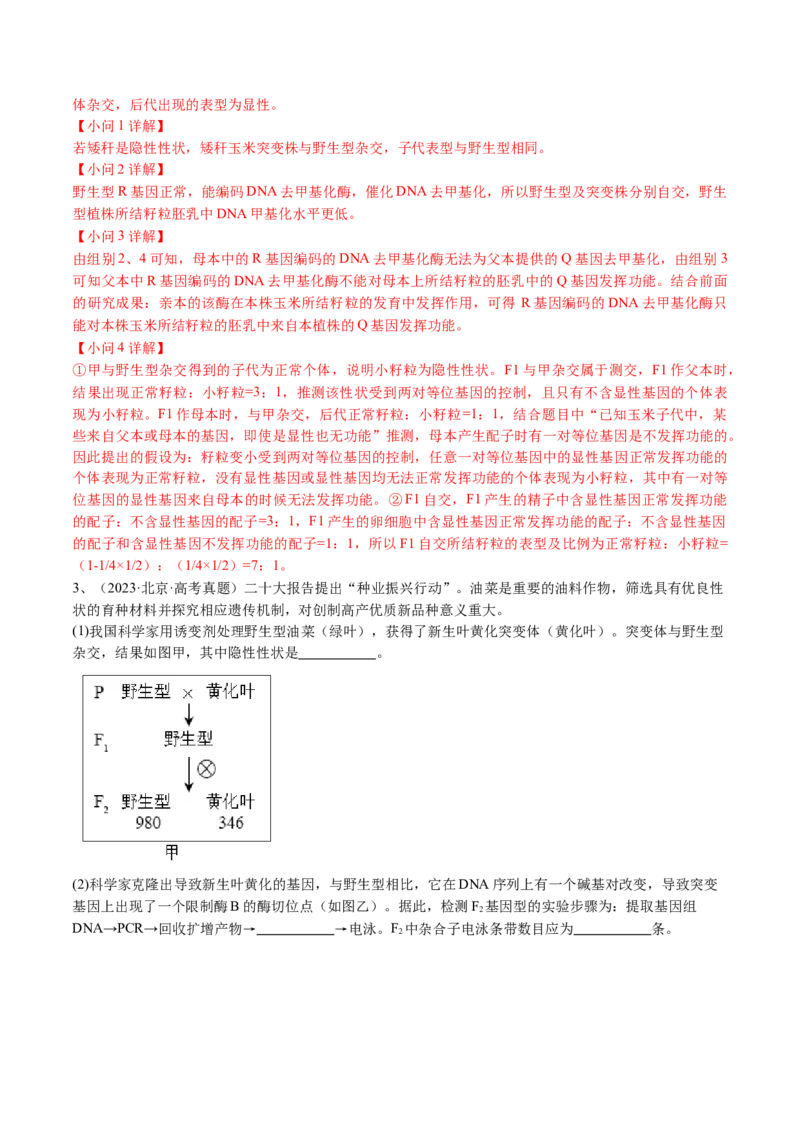 《专题07基因分离定律和自由组合定律（教师版）_北京高考全科_生物_五年（2020-2024）高考生物真题分类汇编（北京专用）》第3页预览