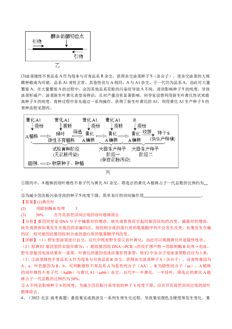 《专题07基因分离定律和自由组合定律（教师版）_北京高考全科_生物_五年（2020-2024）高考生物真题分类汇编（北京专用）》第4页预览