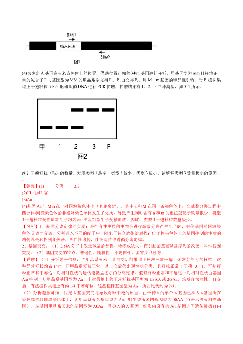 《专题07基因分离定律和自由组合定律（教师版）_北京高考全科_生物_五年（2020-2024）高考生物真题分类汇编（北京专用）》第7页预览